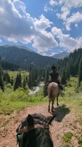 Kyrgyzstan Tour 2025 11th- 21st June spaces available  #kyrgyzstan #koltor #horses #mountains #fyp #adventure #adventuretours #holiday #travel #nature 