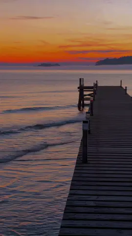 ‍   ‍     ‍    ‍