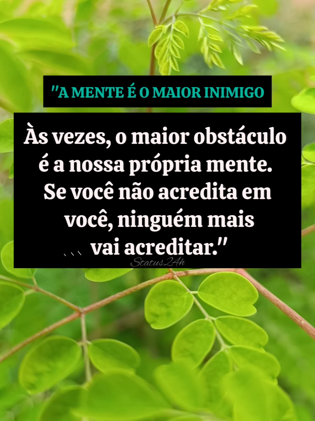 O maior obstáculo é a nossa própria mente #frasesparapensar #frasesmotivadoras #status #reflexao #frasessabias #frasescurtas #motivaçao  @oficial24h.status 