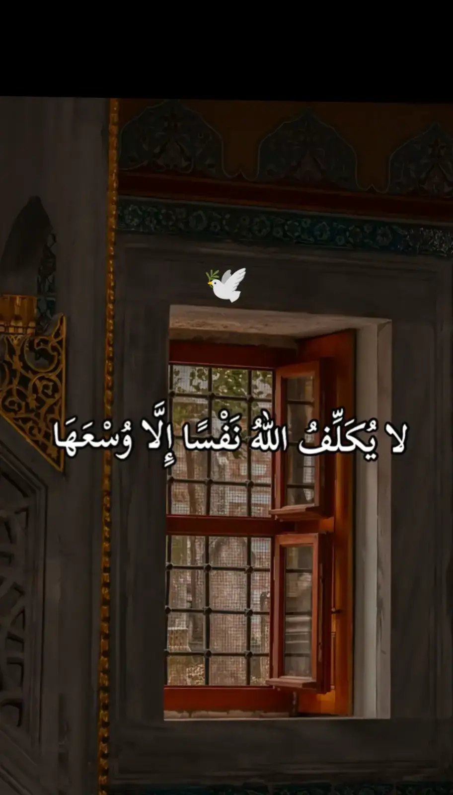 #قران #قران_كريم #القران_الكريم_راحة_نفسية😍🕋 #هدوء_النفس_وطمأنينة_القلب #قران 