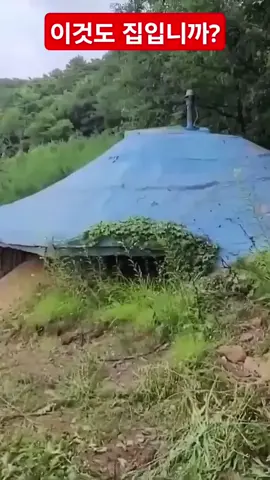 세상 특이하게 생긴 집