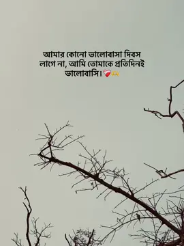 আমার কোনো ভালোবাসা দিবস লাগে না, আমি তোমাকে প্রতিদিনই ভালোবাসি❤️‍🩹🫶 #foryoupag #trending #viralvideo #foryou #fyp #viral #viraltiktok 