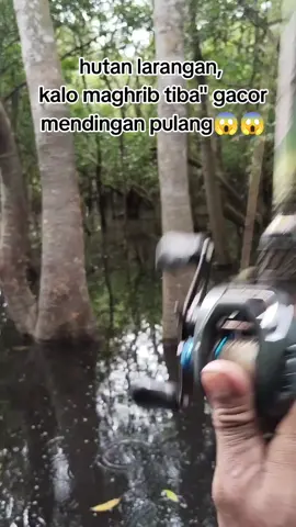 serem#fyp 