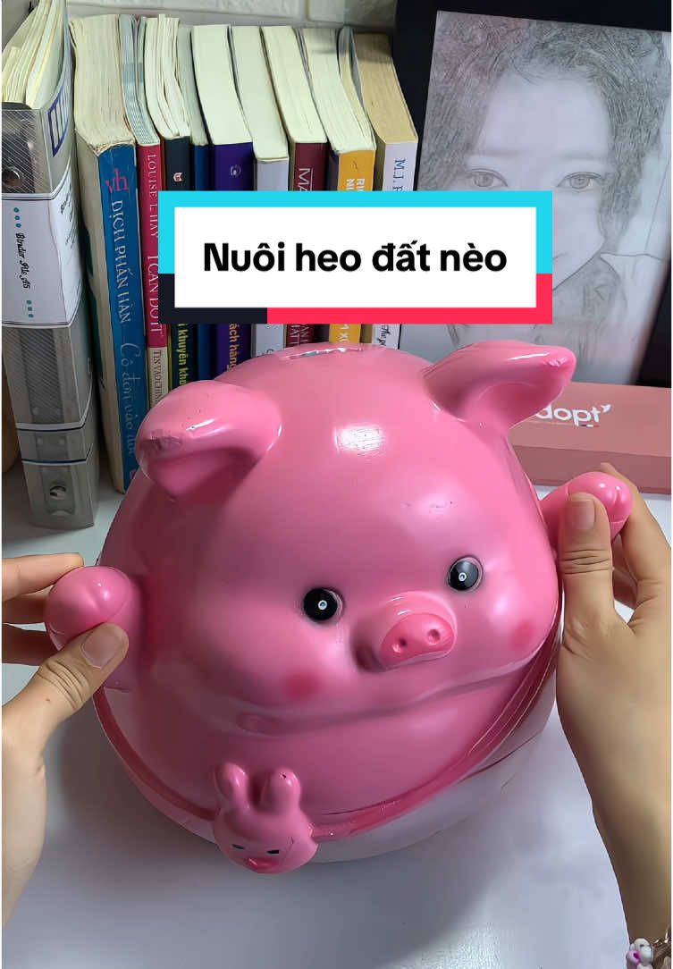 Tiết kiệm hoi #xuhuong #vairal #nuôiheođất #heodat #tietkiemtien #unboxing #review 