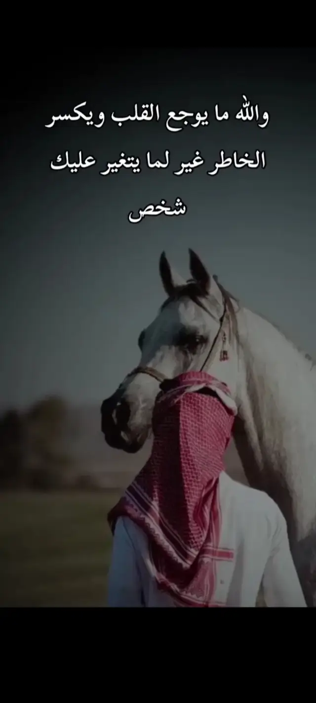 #صنعاء_تعز_عدن_اب_ذمار_حجة_حضرموت 