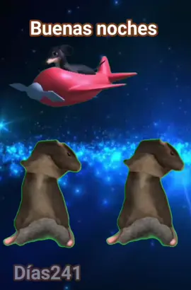 #buenosdias242 #buenasnoches 