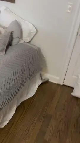 #neuromints #sharktank #mindmints #focusmints #energymints #nootropics 