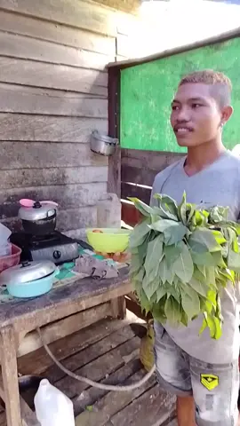 tiba condo dami mori