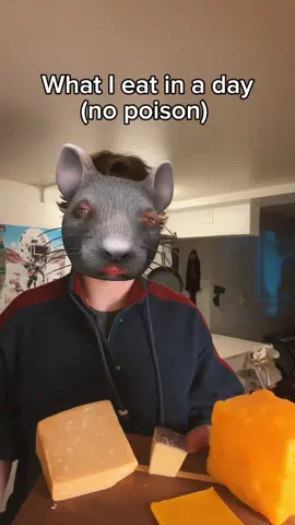 This is what mice were designed to eat