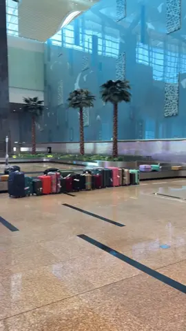 Một hành động đẹp từ mấy bạn nhân viên sân bay quốc tế Cam Ranh, trong lúc khách xếp hàng nhập cảnh mà hành lý xuống là mấy anh xếp gọn gàng vậy á 🥰 #sanbaycamranh #camranhairport #xh #fyp #foryou 