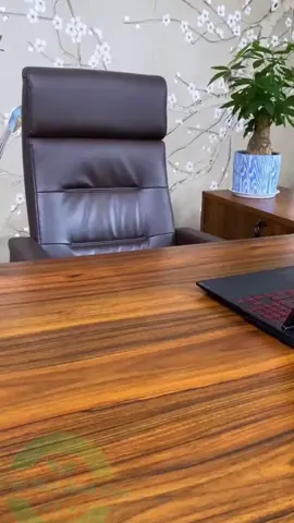 Năm mới thêm tài lộc với bể cá mini#tienichgiadinh #giadung #thinhhanh #xuhuong #taphoabinhdan #becamini 