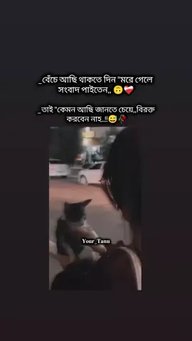 কেমন আছি জানতে চেয়ে বিরক্ত করবেন নাহ..!!🙂💔#tanisha #viral_video #fyb #tanisha #viral_video #fyb #tanisha #viral_video #fyb #tanisha #viral_video #fyb #tanisha #viral_video @TikTok @TikTok Bangladesh 
