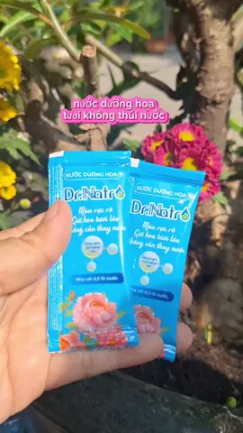nước trong bình không thúi hoa tươi lâu hơn #hoa #nuocduong #nuocduonghoa #chamhoa #muataitiktok 