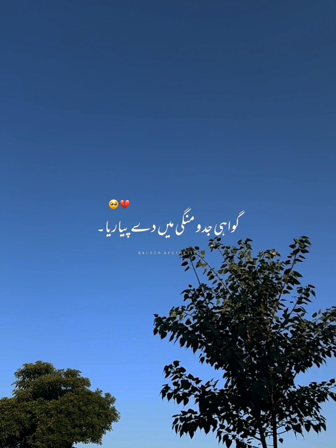Nelami Keti Ishqy De Mehrma💔🥺 || Repost Request || #foryou #foryoupage #jaanan #viral #aesthetic #aestheticvideos #iwanttogrowmyaccount 