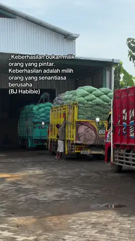 Hasil merupakan bentuk dari kerja keras #fyp #pengusahamuda #gabahbalap🌾 #bosmuda #gabahindonesia #pabrikberas #bulog #kulipabrik #beras #Beras Yg Lima Kilo #gabahlamongan #gabahtuban #gabahbojonegoro 