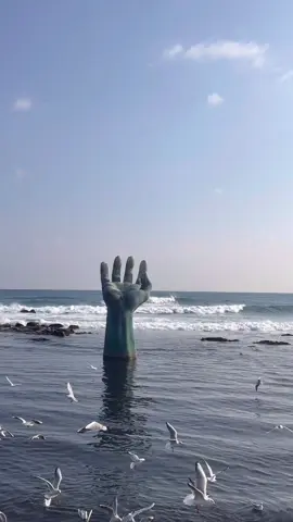 Pohang Sea 🌊 #포항여행 #포항 #포항호미곶 #pohang #pohangsouthkorea #fyp #salnal 