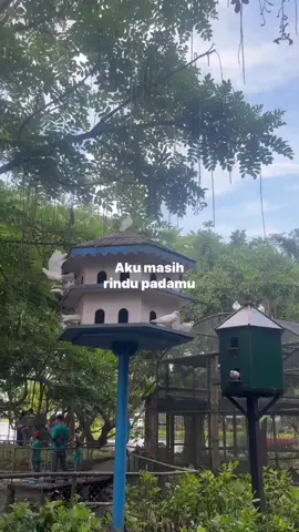#mengejarmimpi #yovienuno 