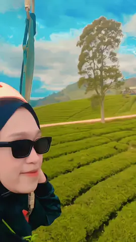 obat sakit hati tanpa dosis 🍃🍃 #flayingfox #pangalengan #situcilencapangalenganbandung #Capcut #fyp 