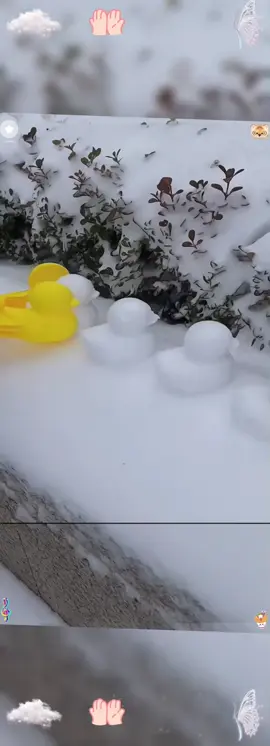 🐤❄️Create Winter Magic with Our Adorable Duck - Shaped Snowball Maker! 🌟 #DuckShapedSnowballMaker #WinterFunEssential #SnowyDayDelight #TikTokMadeMeBuyIt #MustHaveWinterToy #TrendingNow #ShopNow #GetYoursToday #MakePerfectSnowballsFast #Add a Quirky Twist to Snowball Fights #Upgrade Your Winter Activities #Order Your Snowball Maker #WinterGames#TikTokShopLastChance#TikTokShopNewYearNewAura#spotlightfinds
