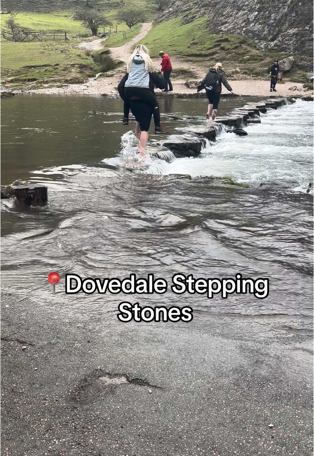 Barefoot across the river was certainly one way of reconnecting with nature on our walk 😅💦🥾 #peakdistrict #dovedale #naturetiktok #rottweiler 