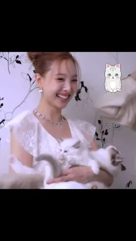 Meowwwwwww Meowwwwwww #fyp #nayeon #cat #foryoupageofficiall #twice  