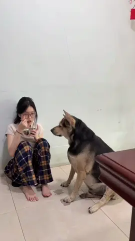 បទនឹងអុីងអុីងឡេីងចេះច្រៀង ថ្ងៃមុនលឺគាត់ច្រៀងឡេីងភ្ញាក់😁