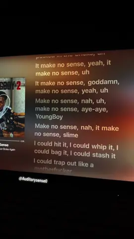 Make No Sense - YoungBoy Never Broke Again #nbayoungboy #yn #fypシ #spotify #lyrics #Viral #foryoupage 