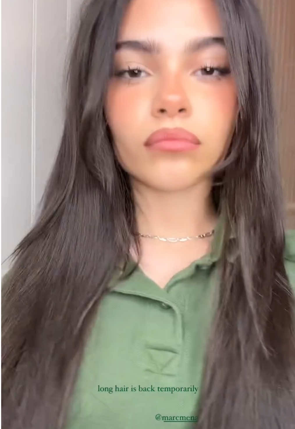 i loved the short era but i live for the long hair #arianagreenblatt #viralvideos #foryoupage #fyppppppppppppppppppppppp #viral #fyp #xyzbca #recap #ari #777splats #splatt777 #instagram #fypp 