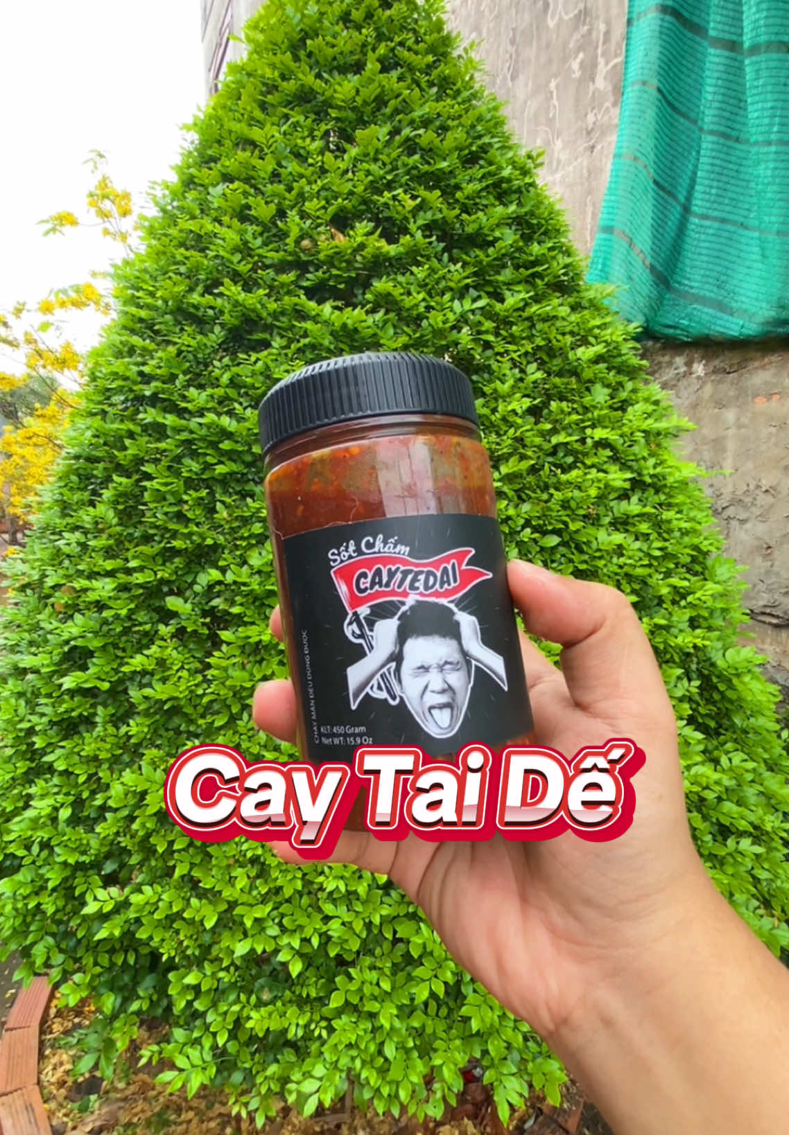 Muối chấm Caytedai của Anh Lâm chấm đủ thứ luôn ạ #sotchamcaytedai #sotcham #sotchamlamvlog #muoichamcaytedai #muoicaytedai 