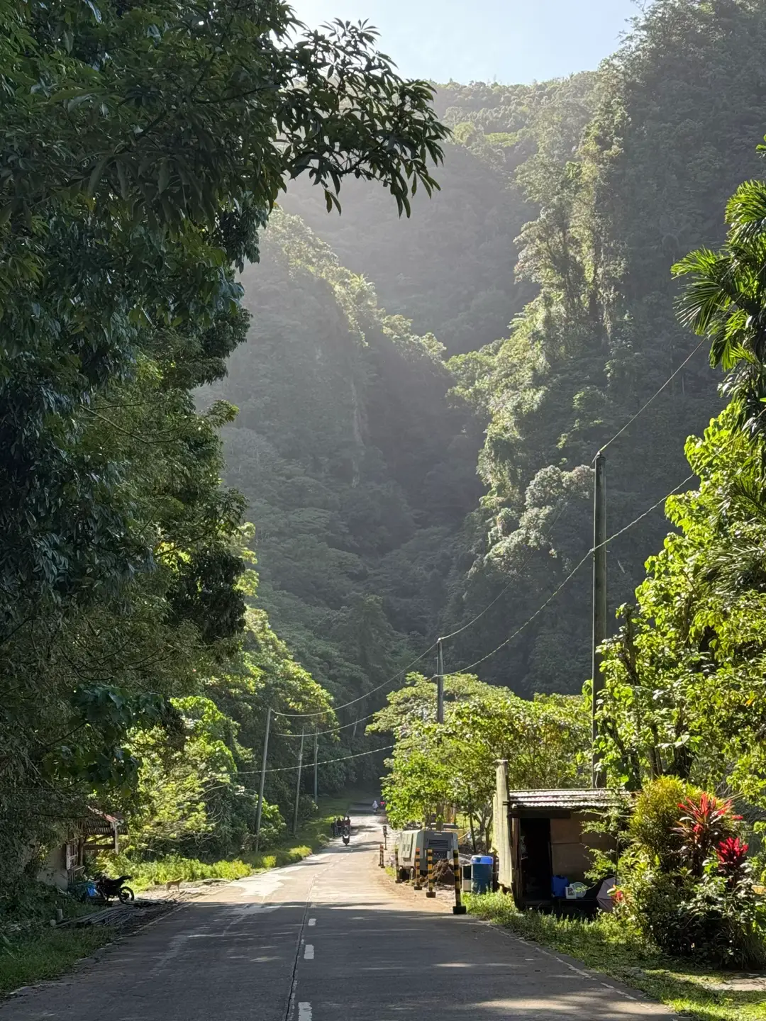 #nature #fyp #tiktok #infanta #marilaque #quezonprovince #adv160 