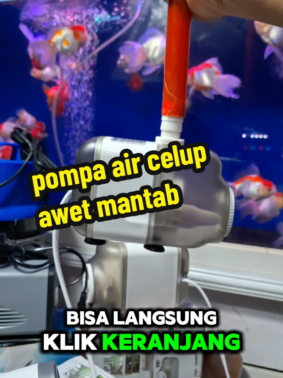 Membalas @ferryfadli280  pompa air kandila eco 104 #rekomendasipompaairaquarium #pompaaircelup #pompaairkolam #pompaaquarium 
