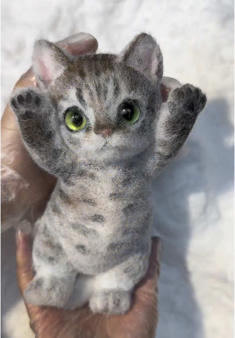 The world cannot run without cat.#cat #DIY #fy #handmade #squishy #foryou #art 