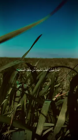هّذاِ الًيّ يُسموْنةّ حٍبْ حقُيقّيْ#قصائد #حسينيون #مصمم_فيديوهات🎬🎵 #طبيعة #مشاهير_تيك_توك #parati #fy #جمال #اقتباسات 