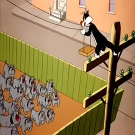 #carttoon #fypage #fyp #tomandjerry #children #tom #cartooncharacter #fypシ #jerry #tomjerry #cartoonme #cartoonmovie #كرتون #cartoonify #طوم_جيري #cartoonnetwork #tomjerry #cartoonme #tomandjerry 