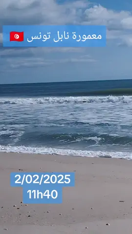 Pêche loisir 🎣 🎣 🐟 🎣 #🔱MONA🔱 #تونس🇹🇳 #اكسبلور #pourtoi #الشعب_الصيني_ماله_حل😂😂 #foryoupage❤️❤️ 