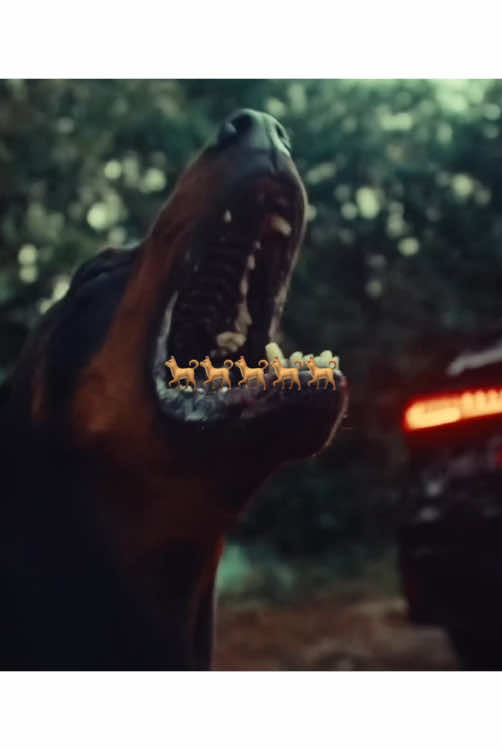 🐕🐕🐕😶😶 #beat #lvbelc5 #hoodtrap  #fyp #kesfet 