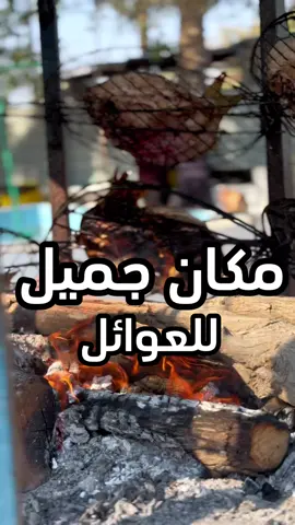 مكان جميل خاص للعوائل في كربلاء  مجموعة مشاتل الكفيل التابع للعتبة العباسية  حديقة وألعاب للأطفال وجلسات مرتبة وجميلة وخدمات كاملة أكل ومرطبات ومسجد ودورات مياه وغيره واهم شيء دخوله مجاني بإشراف الكوادر للعتبة العباسية وشكر خاص للمتولي الشرعي للعتبة العباسية  #العراق #كربلاء#مشاتل_الكفيل #البحرين🇧🇭 #ابا_الفضل_العباس #العتبة_العباسية_المقدسة 