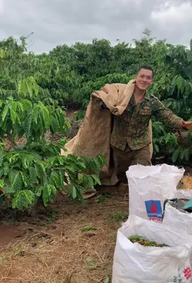 Tôi chưa tết cỡ đó hết tết khỏi nói#tet2025🌸🧧 #tăngcân 