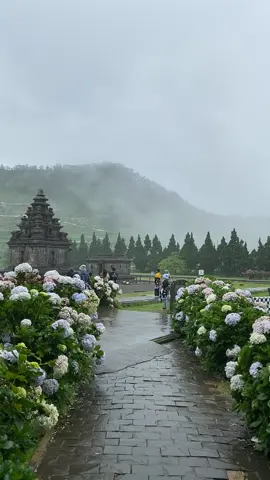 Dieng setelah hujan emang secandu ini, tapi menggigil cooo😭 #wonosobo #candiarjunadieng 