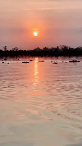 Bình minh trên sông tiền.! Về lại Sài Gòn tiếp tục làm việc thôi ❤️❤️❤️