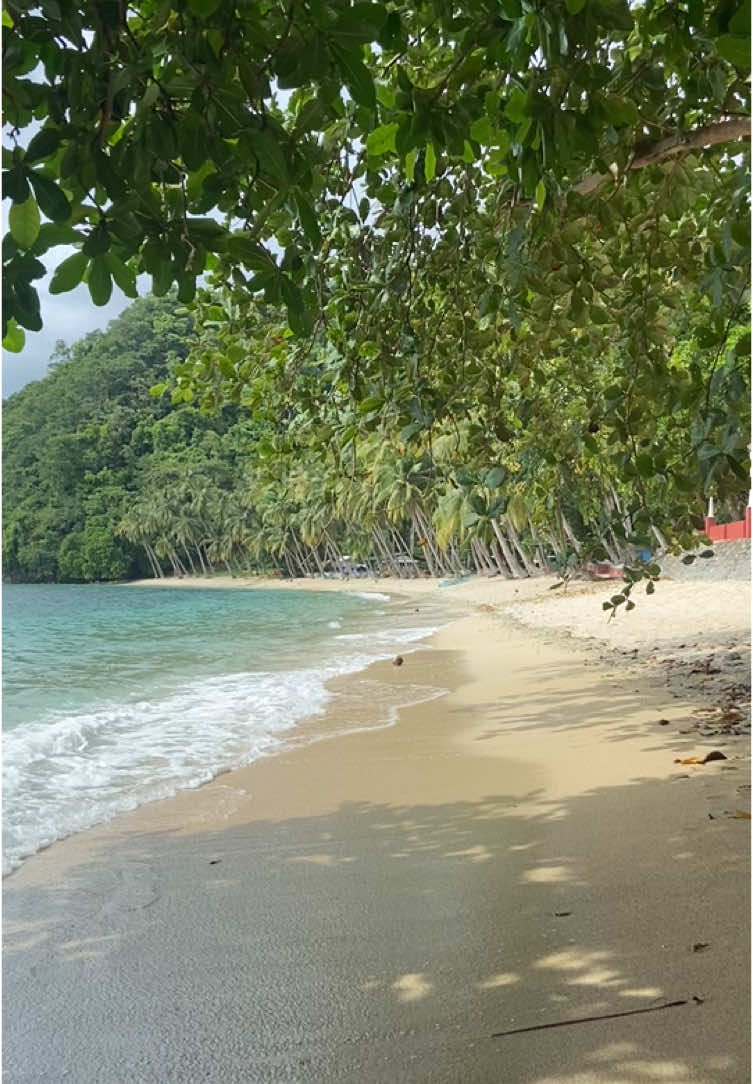 The calm in the sea 💙💚  #tukamarinepark #kiamba #saranganiprovince #beach #nature #fyp 