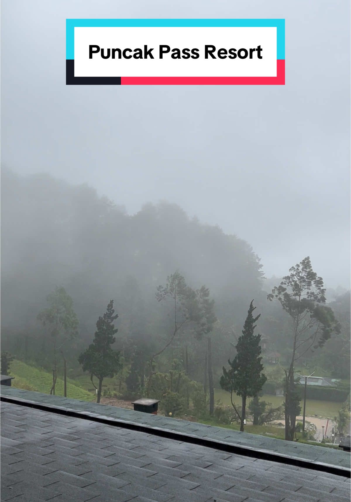 🍃 #hotelpuncak #hotelpuncakbogor #hotelbogor #wisatabogor #wisatapuncak #wisatapuncakbogor #staycation #puncakpass #puncakpassresort #puncakbogor #puncak 