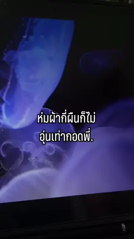 #เทรนด์วันนี้ #ฟิดดดシ #fyp