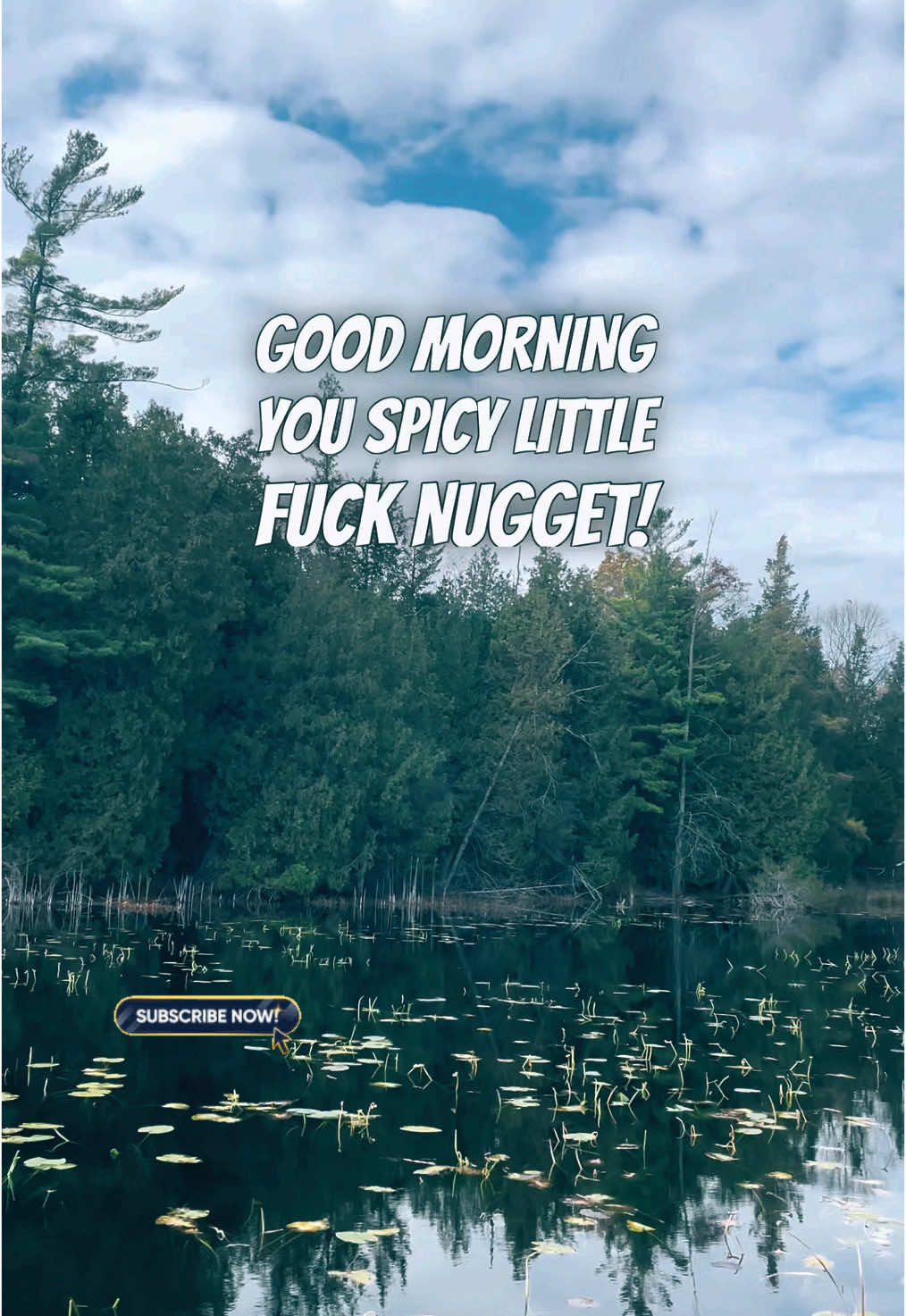 Go smash your goals today! 😎 #motivation #inspiration #positivevibes #humor #funny #goals #mindsetmotivation #work #MentalHealth #selflove #kstf 