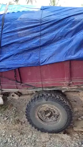 #fyp#ubur ubur-ubur ikan lele tarik lagi mobil besar le#fyppppppppppppppppppppppp #flypシ 