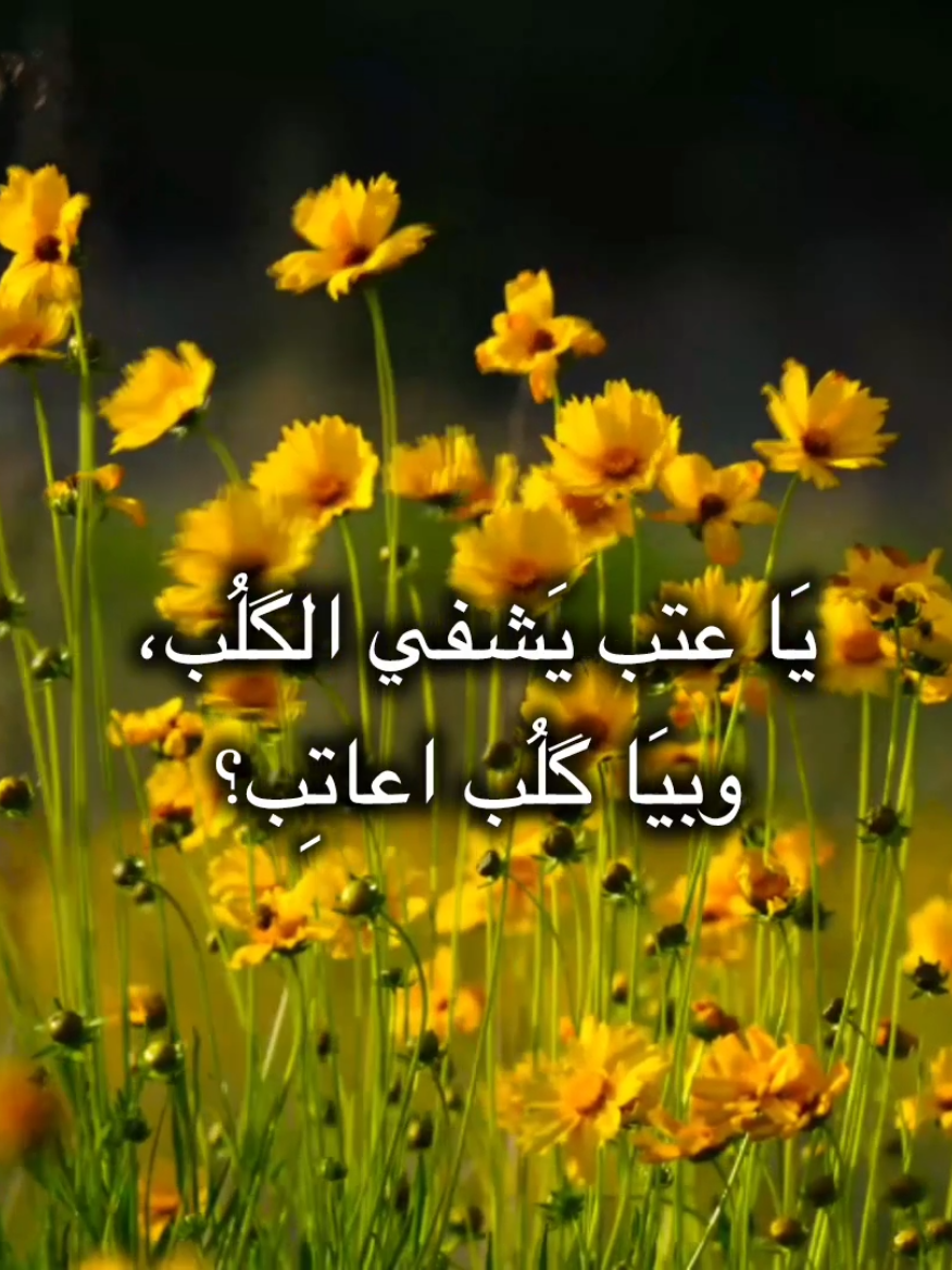 يَا عتب يَشفي الگلُب، #باسم_الكربلائي #قصيده #يا_عتب_يشفي_كلب_🥺 #لطميه #قصائد_حزينه 