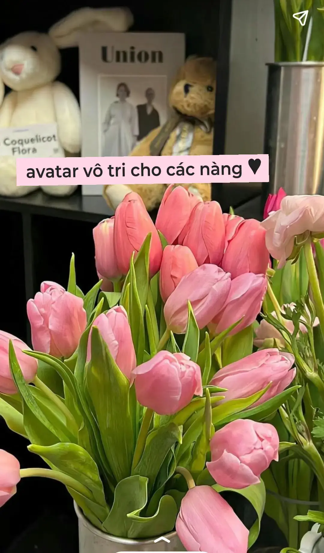 avatar vô tri cho các nàng nà
