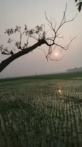 ভোলা তো যাবেনা প্রিয়া রে কখনো।  জীবন এর এপারে মরণের ওপারে ভালোবেসে যাবো তখনো। 
