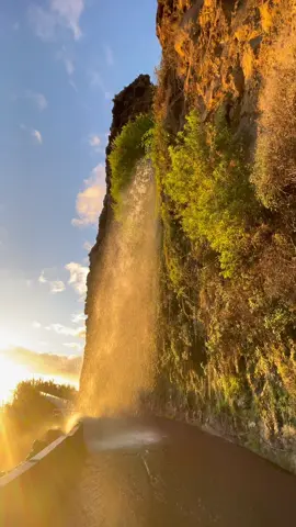 Stop dreaming and start living 🏝️ #travel #madeira