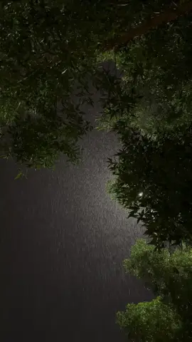 menari ditengah hujan #hujan #gerimis #malaminihujan #teduh #hujan🌧️ #pulang #mentahanvideo #mentahan #mentahanhujan 